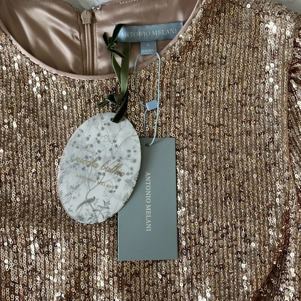 NWT Stunning Modest Formal Antonio Melani Dress sz 6 - Picture 2 of 4